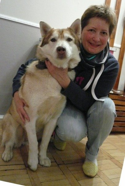 Груминг для собак крупных пород в Королёве - звоните 8 (926) 695 35 77